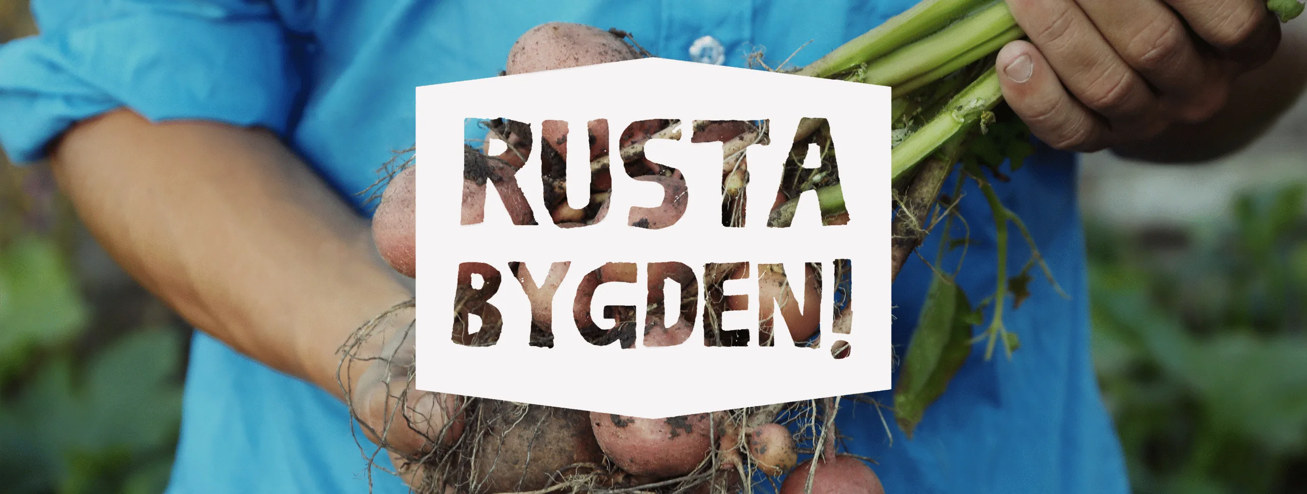 banner rusta